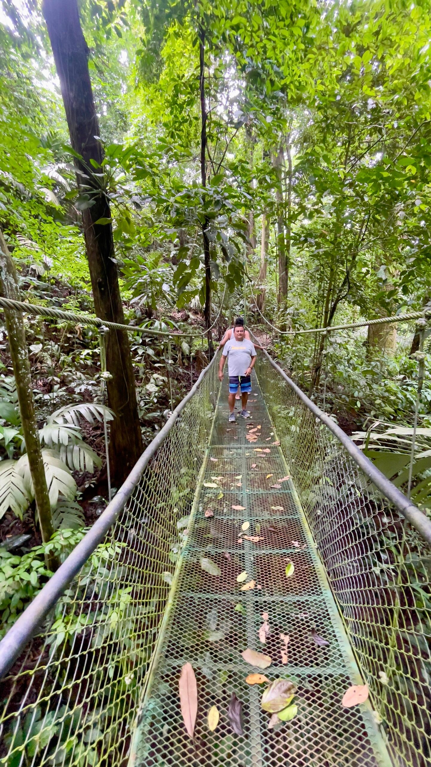 Dschungelabenteuer bei Puerto Limón – Impression 6