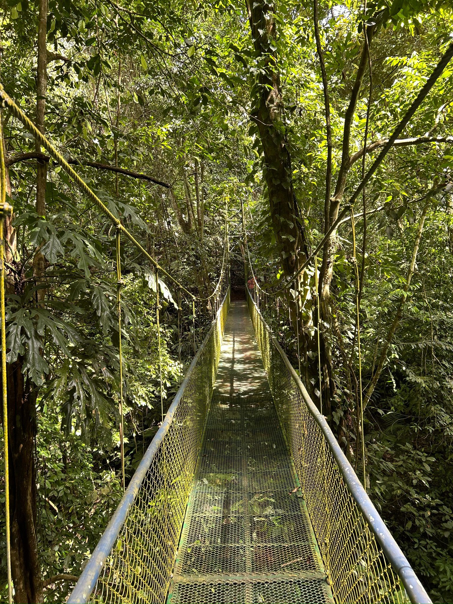 Dschungelabenteuer bei Puerto Limón – Impression 13