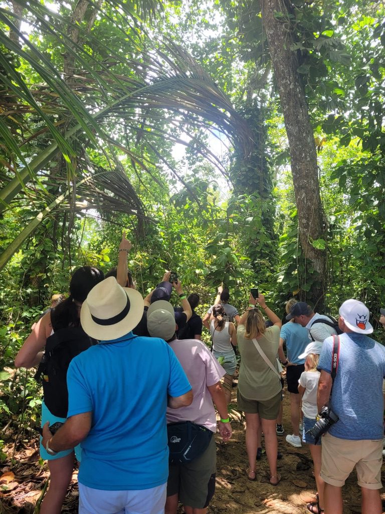 Dschungelabenteuer bei Puerto Limón – Impression 13