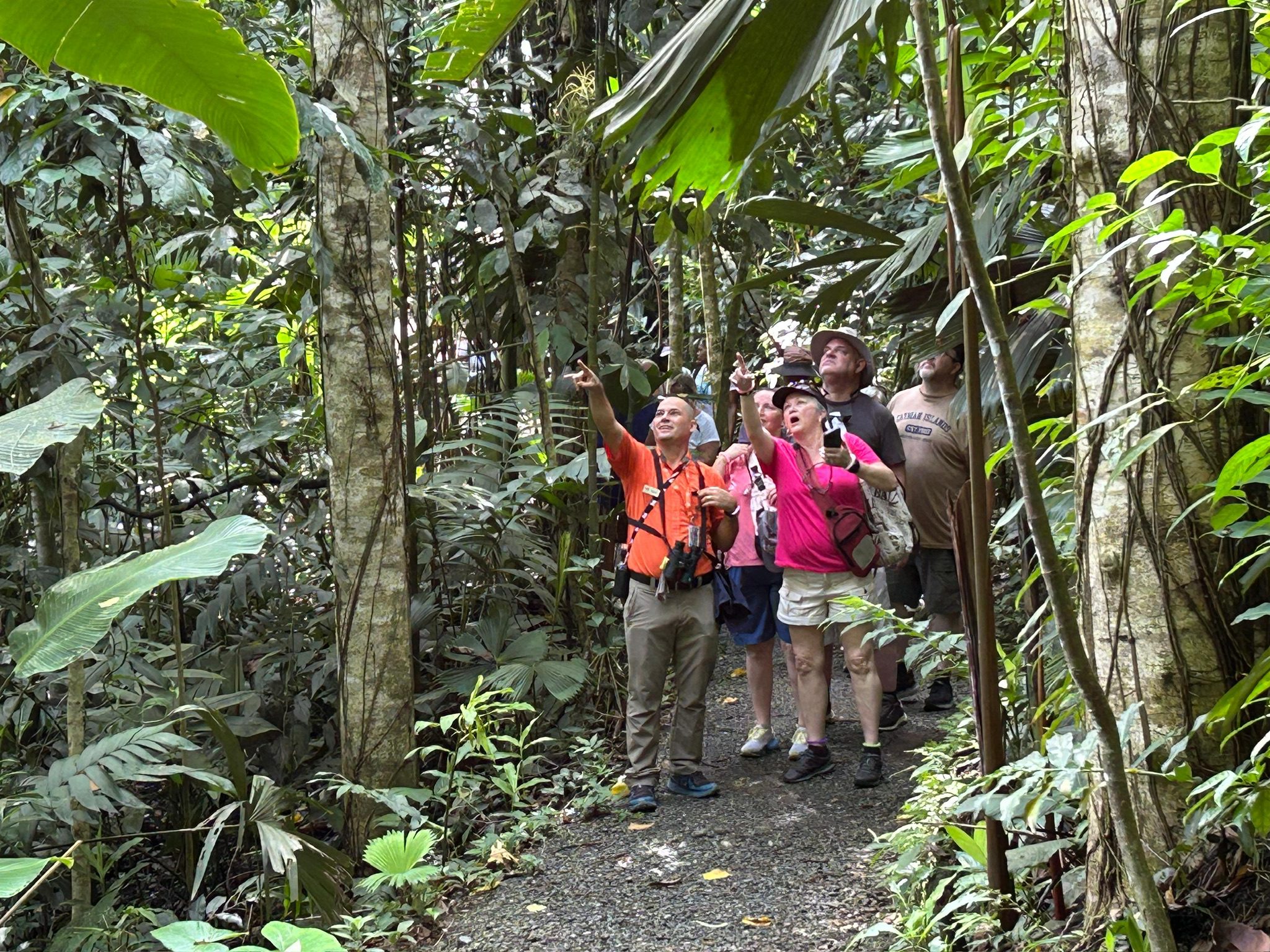 Dschungelabenteuer bei Puerto Limón – Impression 3