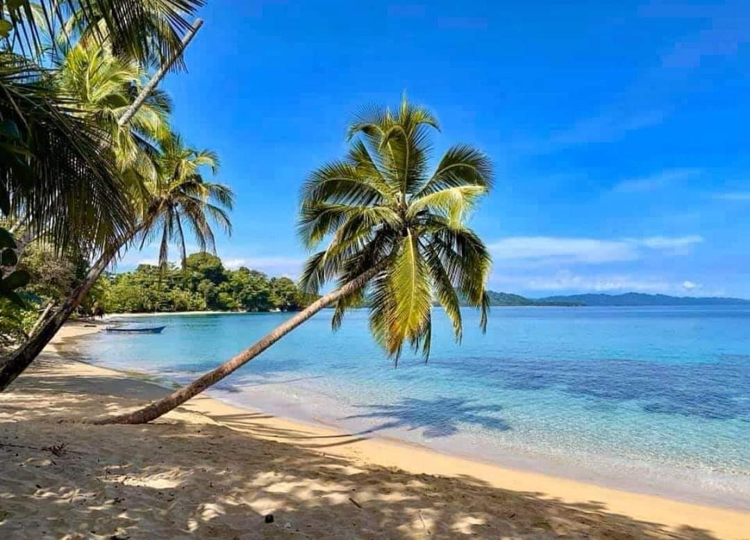 Dschungelabenteuer bei Puerto Limón – Impression 8