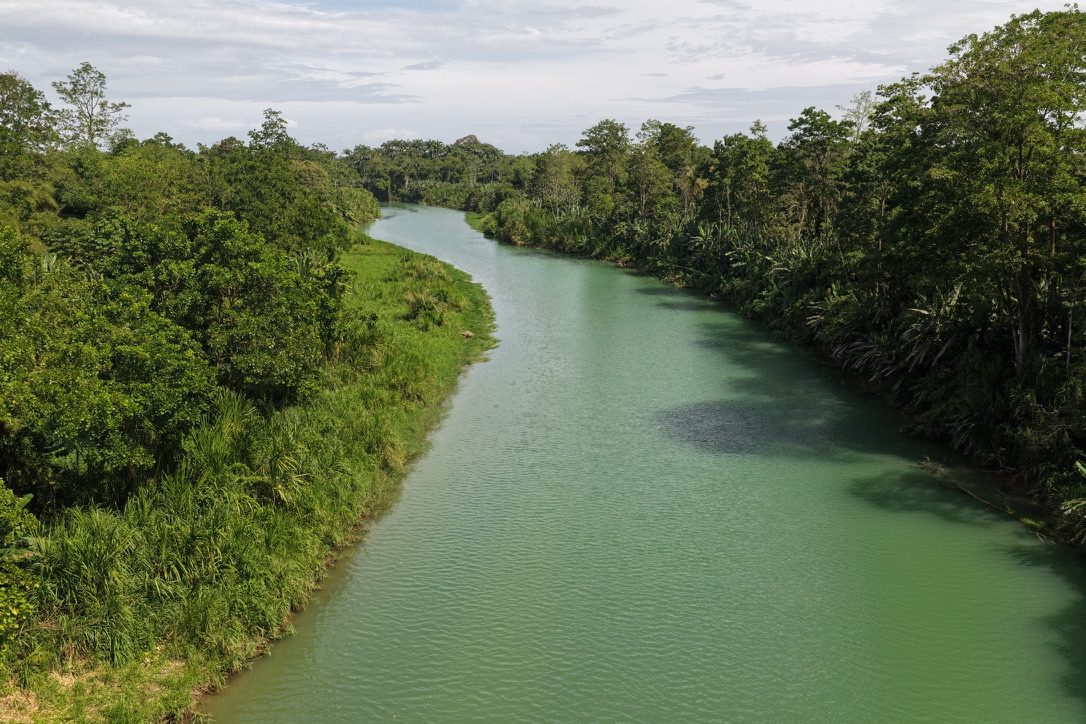 Paddelparadies auf dem Río Banano – Impression 2