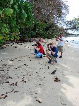 Karibik Expedition – Eindruck 17 aus Puerto Limón und Cahuita