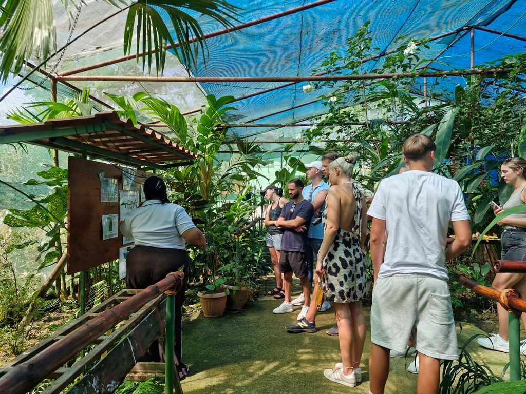 Natur Pur bei Puerto Limón – Impression 19