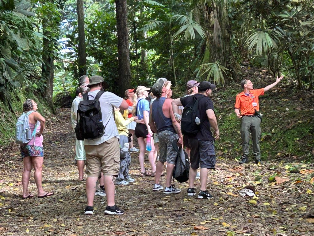 Dschungelabenteuer bei Puerto Limón – Impression 4