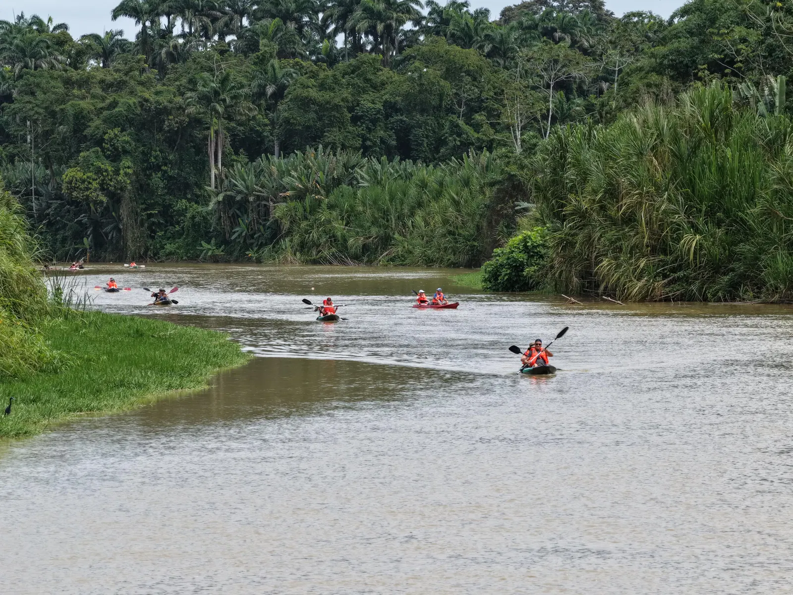 Paddelparadies auf dem Río Banano – Impression 4