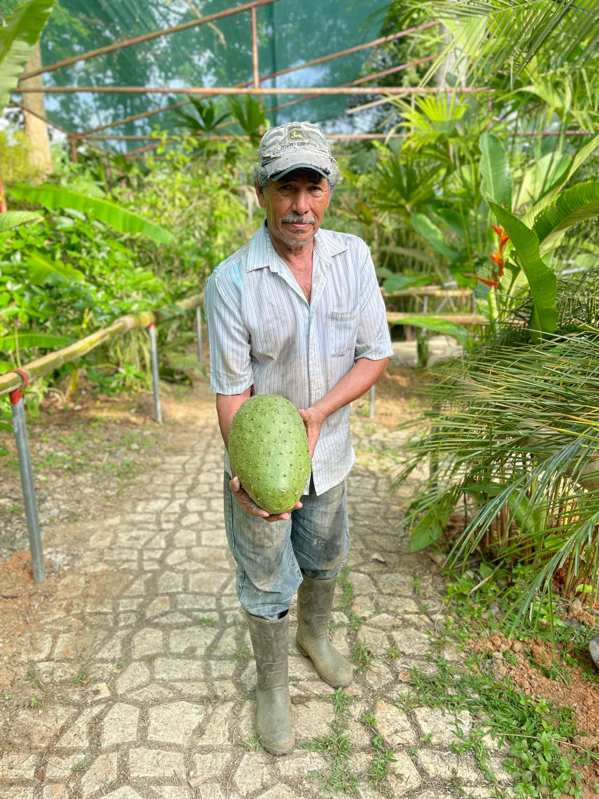 Natur Pur bei Puerto Limón – Impression 18