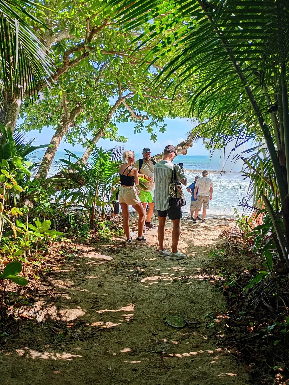 Dschungelabenteuer bei Puerto Limón – Impression 11