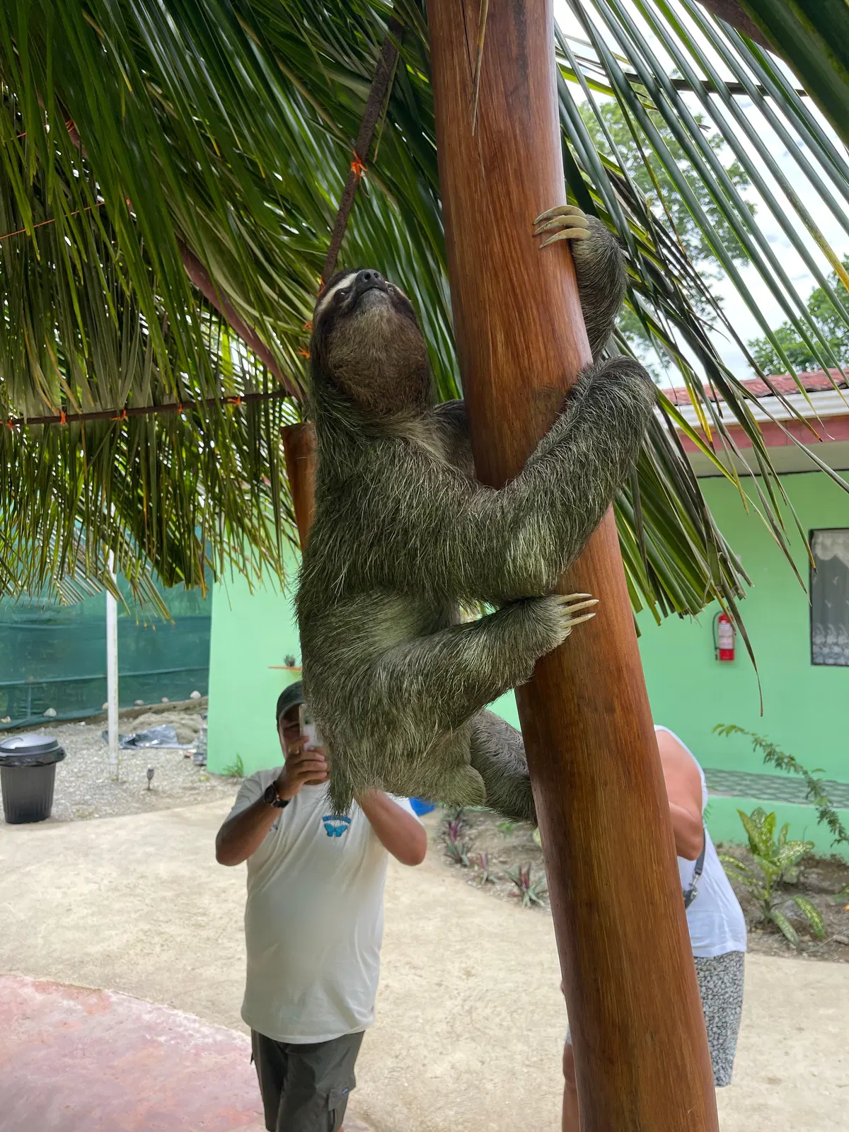Karibik Expedition – Eindruck 24 aus Puerto Limón und Cahuita