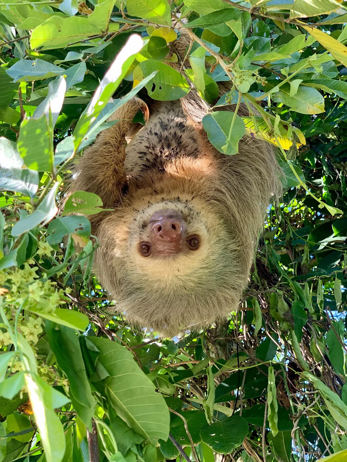 Dschungelabenteuer bei Puerto Limón – Impression 14