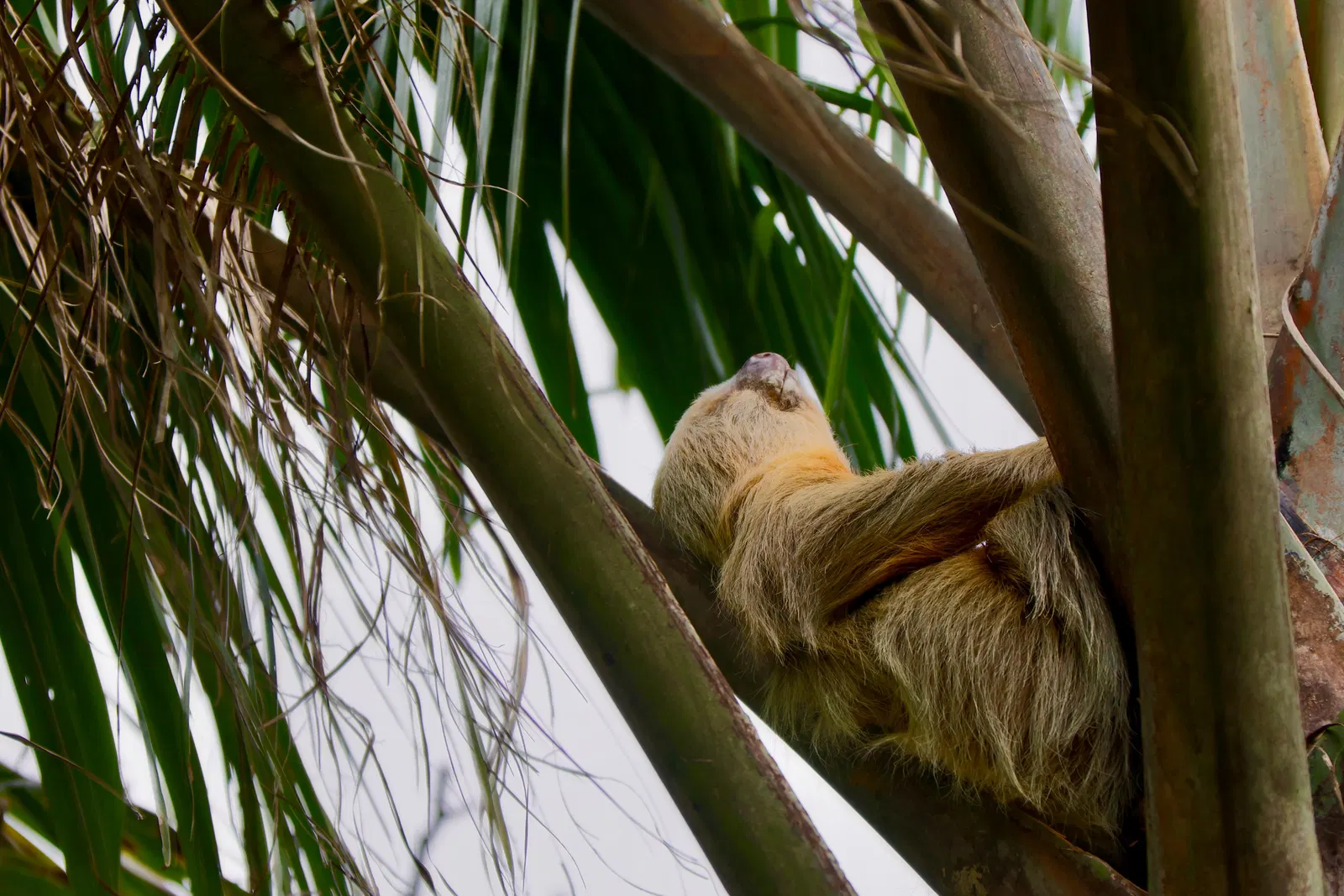 Natur Pur bei Puerto Limón – Impression 12